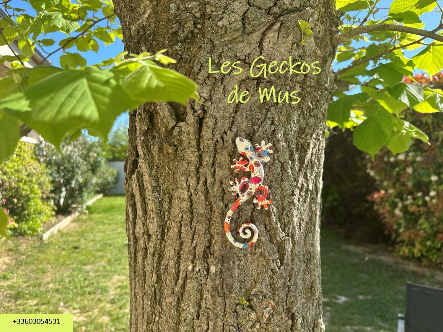Les Geckos De Mus Apartment Екстериор снимка